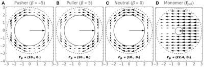 Simulating Microswimmers Under Confinement With Dissipative Particle (Hydro) Dynamics